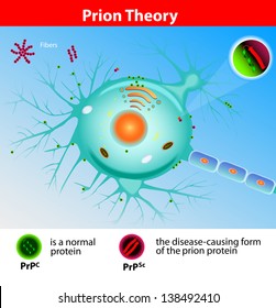 Prion Theory. Mad Cow Disease Prions