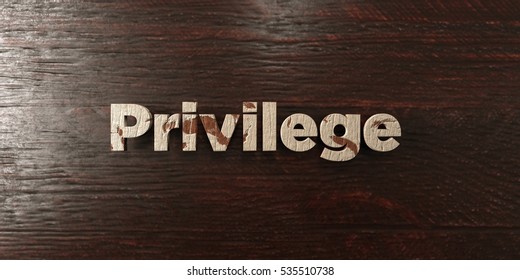 Privilege - Grungy Wooden Headline On Maple  - 3D Rendered Royalty Free Stock Image. This Image Can Be Used For An Online Website Banner Ad Or A Print Postcard.