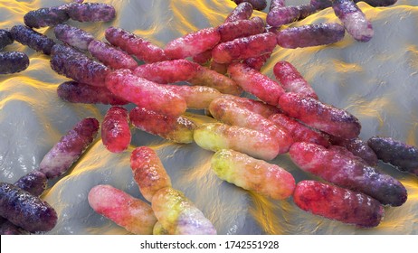 Probiotic Bacteria Lactobacillus, 3D Illustration. L. Acidophilus, L. Helveticus And Other. Normal Flora Of Intestine. Lactic Acid Bacterium