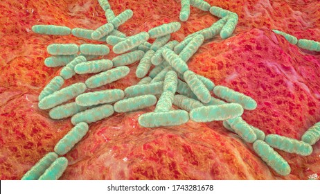 Probiotic Bacteria Lactobacillus, 3D Illustration. L. Acidophilus, L. Helveticus And Other. Normal Flora Of Intestine. Lactic Acid Bacterium