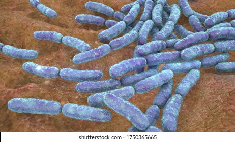 Probiotic Bacteria Lactobacillus, 3D Illustration. L. Acidophilus, L. Helveticus And Other. Normal Flora Of Intestine. Lactic Acid Bacterium