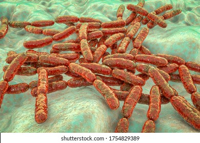 Probiotic Bacteria Lactobacillus, 3D Illustration. L. Acidophilus, L. Helveticus And Other. Normal Flora Of Intestine. Lactic Acid Bacterium