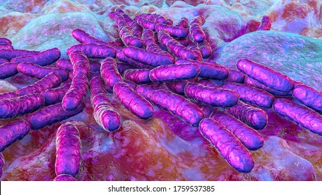 Probiotic Bacteria Lactobacillus, 3D Illustration. L. Acidophilus, L. Helveticus And Other. Normal Flora Of Intestine. Lactic Acid Bacterium