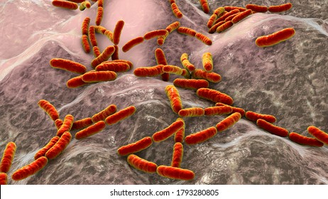 Probiotic Bacteria Lactobacillus, 3D Illustration. L. Acidophilus, L. Helveticus And Other. Normal Flora Of Intestine. Lactic Acid Bacterium