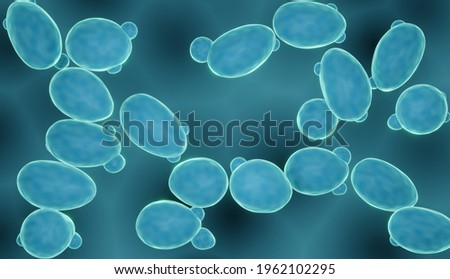 Probiotic Saccharomyces yeast, budding fermenting fungi (Saccharomyces cerevisiae, boulardii) 3d illustration Stock photo © 
