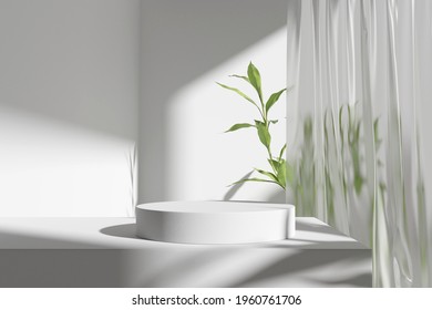 Product display podium and nature leaves white background  3D rendering