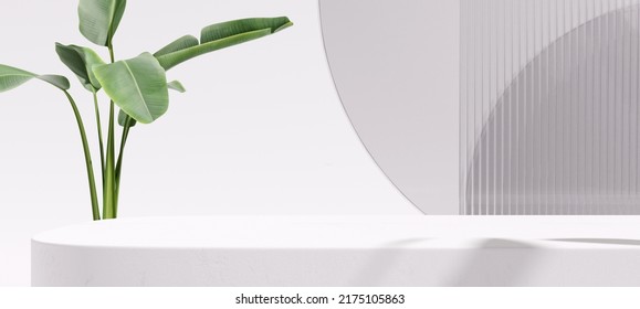 Product display podium with nature leaves on white background. 3D rendering	