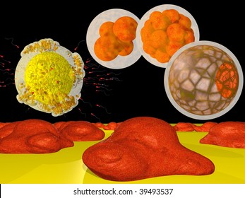 Production Of Embryonic Stem Cells