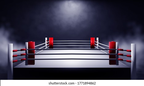 Professional Boxing Ring 3d Render Stock Illustration 1771894862 ...