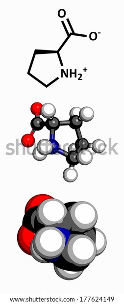 Proline Pro P Amino Acid Molecule Stock Illustration 177624149 8184