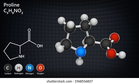 88 Nonessential amino acids Images, Stock Photos & Vectors | Shutterstock