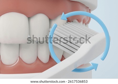 Proper brushing of molars tooth in back area near cheek