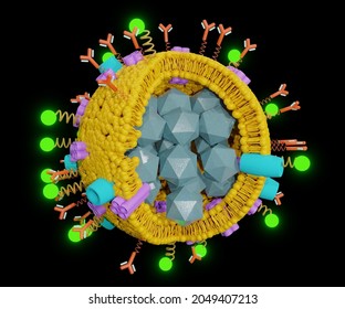 Properties Of Liposome Nanoparticles For Drug Delivery 3d Rendering