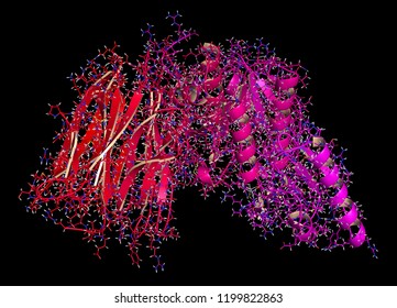 Proprotein convertase subtilisin kexin type 9 (PCSK9) protein. Target of multiple investigational cholesterol lowering drugs. 3D rendering, cartoon + line representation.