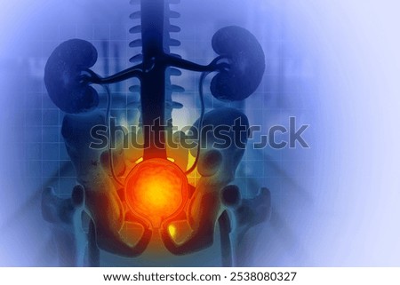 Prostate disease, Benign prostatic hyperplasia (BPH), Prostate cancer. 3d illustration