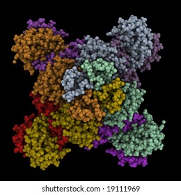 Protein Complex