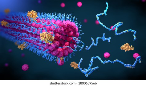 Protein enzymes fold into their structure to fulfill their function - 3d illustration