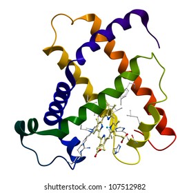 Protein myoglobin 3D molecular model