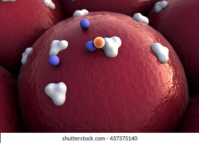 Protein On The Cell Surface, Receptors And Vein On The Cells Surface, 3D Illustration Of Proteins And Cells