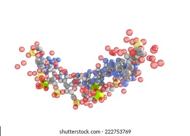 Protein Structure