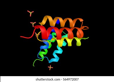 Protein Z, A Glycoprotein And Member Of The Coagulation Cascade, The Group Of Blood Proteins That Leads To The Formation Of Blood Clots. 3d Rendering.