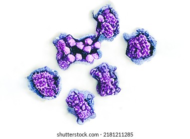 Proteins Under The Microscope, Human Proteins Study, Proteins Therapy 3d Rendering