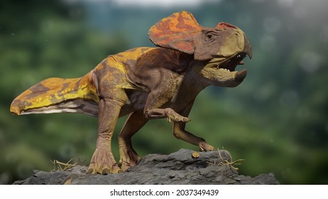 Protoceratops, Dinosaur From The Late Cretaceous Period, 3d Paleoart Render 
