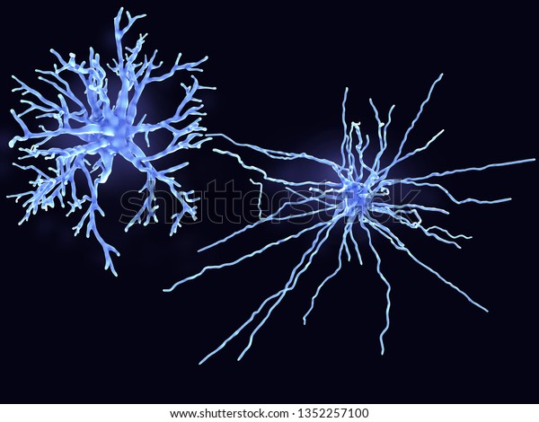 A protoplasmic\
(left) and a fibrous astrocyte. Protoplasmic astrocytes are found\
in the gray matter and the fibrous in the white matter of the\
brain. 3d rendering 