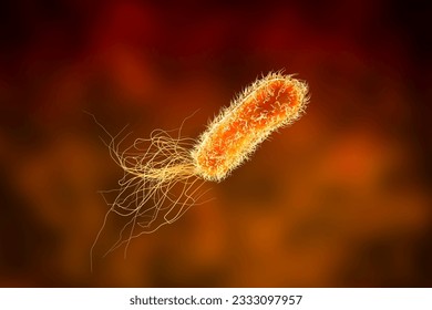 Pseudomonas bacteria, Gram-negative bacteria commonly associated with healthcare-associated infections, particularly respiratory tract and wound infections, 3D illustration.