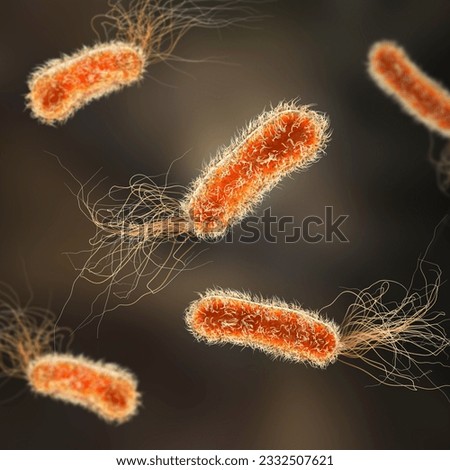 Pseudomonas bacteria, Gram-negative bacteria commonly associated with healthcare-associated infections, particularly respiratory tract and wound infections, 3D illustration.