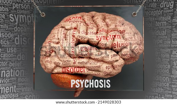 Psychosis Anatomy Causes Effects Projected On 库存插图 2149028303 ...