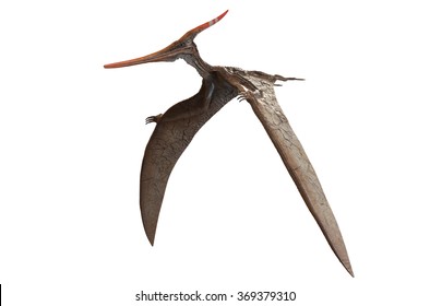 Pteranodon