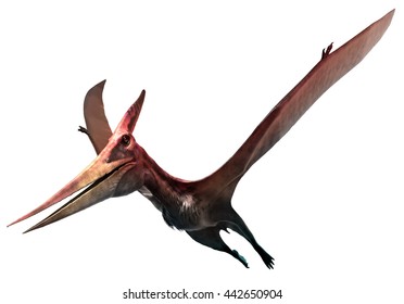 8,094 Flying dinosaur Images, Stock Photos & Vectors | Shutterstock