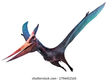 Flying Dinosaur Images Stock Photos Vectors Shutterstock