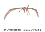 pteranodon is hunting down in white background, 3d illustration