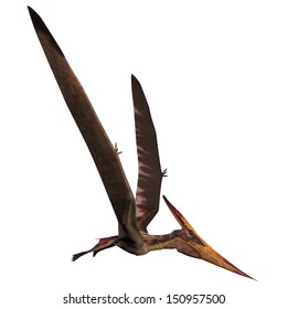 7,976 Dinosaur flying Images, Stock Photos & Vectors | Shutterstock