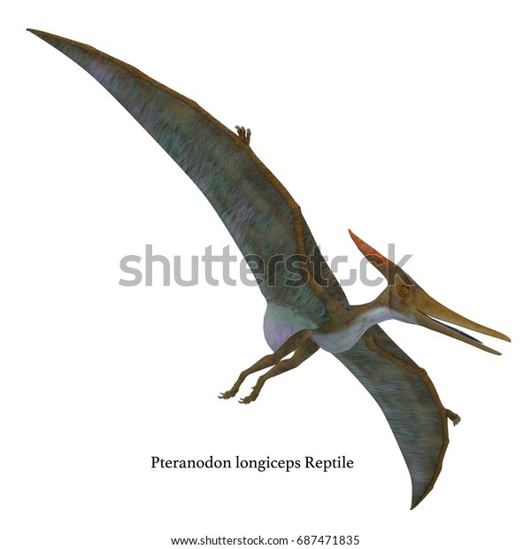 フォント3dイラストを持つプテラノドン爬虫類 オテラノドンは白亜紀の北米に住む飛翔肉食爬虫類 のイラスト素材