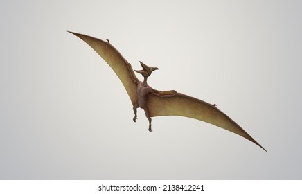 pterodactyl 3D illustration.realistic pterodactyl. flying pterodactyl prehistoric dangerous creature of the Jurassic period.
