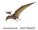 Pterodactyl isolated on white. 3D.