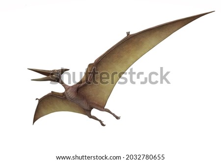 Pterodactyl isolated on white. 3D. [[stock_photo]] © 