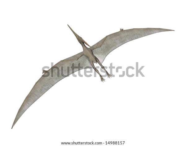 pterodactyl pteranodon