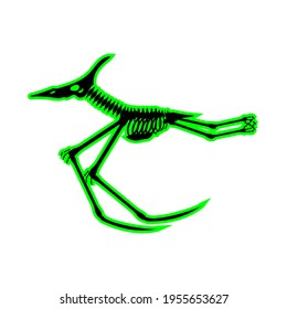 Pterodactyl Skeleton Drawing On White Background