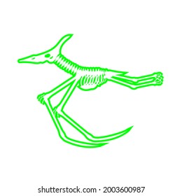 Pterodactyl Skeleton Drawing On White Background