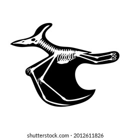 Pterodactyl Skeleton Drawing On White Background