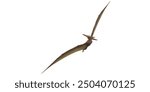 Pterodactyls isolated on a Transparent Background