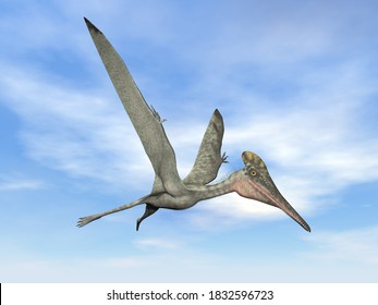 Pterodactylus prehistoric bird flying in the blue sky - 3D render