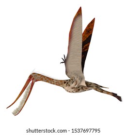 Pterodactyloids Images, Stock Photos & Vectors | Shutterstock