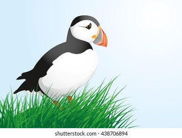 puffin