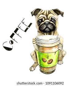 Pug breed dog with a glass of coffee isolated on white background