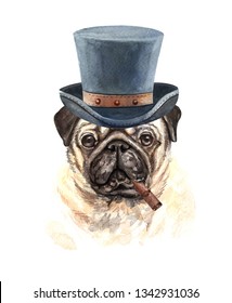 A pug portrait of a dog. Set with small dogs. Watercolor hand drawn illustration.Watercolor pug dog with Top hat and cigar layer path, clipping path isolated on white background